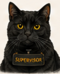 Ninja, David’s black cat